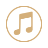 iTunes
